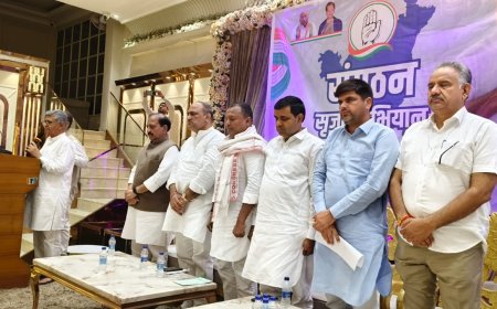 रोहतक कांग्रेस अध्यक्ष पद की होड़: 30 दावेदार, फैसला 30 जून को!