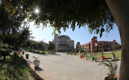 सुपवा का बड़ा कदम: स्टार्टअप इकोसिस्टम के लिए बनेगी स्वतंत्र नॉन-प्रॉफिट कंपनी